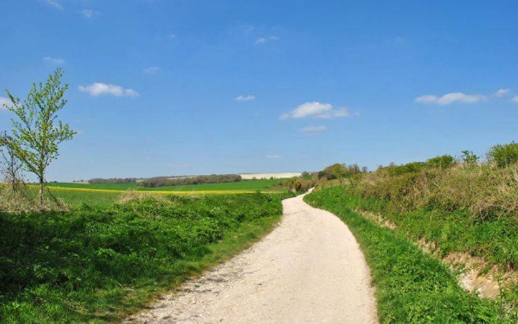 The Run, West Lavant Чичестер Экстерьер фото